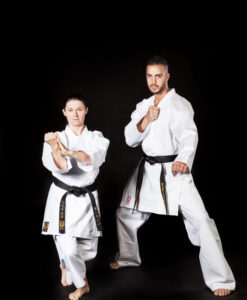 KARATEGI PROFESSIONALE KATA KO