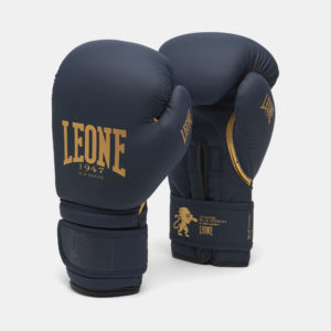 GUANTI BOXE BLUE EDITION