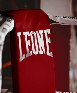 KIT 4 ANGOLARI DA RING LEONE